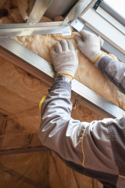 Best Insulation Maintenance and Repair in Diberville, MS