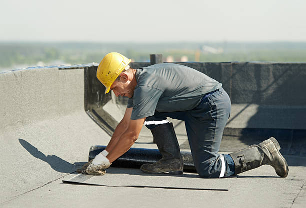 Best Commercial Insulation in Diberville, MS